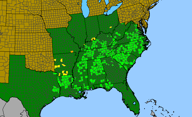 The range of Sanicula smallii